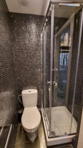 a bathroom with a toilet and a shower at Mini Apartamento Lovely Chueca in Madrid