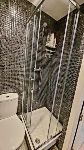a bathroom with a glass shower with a toilet at Mini Apartamento Lovely Chueca in Madrid