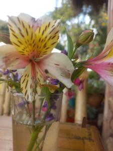 un jarrón de cristal lleno de flores en una mesa en Cabaña Campestre Bhumi, en Granada