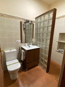 a bathroom with a toilet and a sink at Can Domingo in Sóller +18 photos