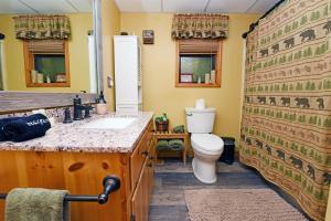 a bathroom with a toilet and a sink at Poplar Ridge Retreat in Blairsville +25 photos