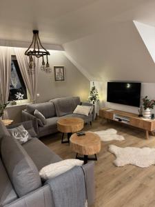 un soggiorno con divano e TV di OWCZA GÓRKA Apartamenty a Istebna