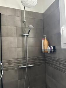 Maison au calme avec spa et rivière à côté de CHARTRES في Saint-Prest: دش مع رأس دش في الحمام +17 صورة