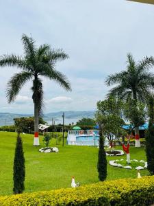 Kolam renang di atau dekat dengan Guadalupe