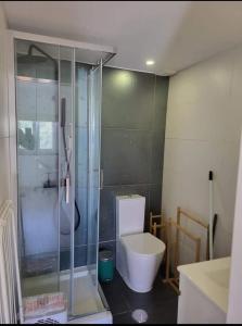 W łazience znajduje się przeszklony prysznic i toaleta. w obiekcie Estúdio mobilado com cozinha na Covilhã w mieście Covilhã
