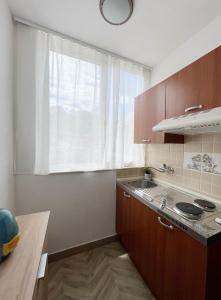 Kuchyň nebo kuchyňský kout v ubytování Apartman Barićevi dvori