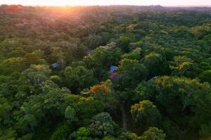 - une vue aérienne sur une forêt au coucher du soleil dans l'établissement Passiflora Camp, à Puerto Maldonado