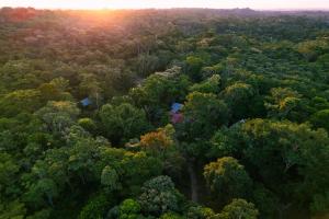 una vista aérea de un bosque al atardecer en Passiflora Camp, en Puerto Maldonado