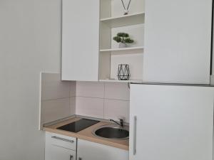Kuchyň nebo kuchyňský kout v ubytování Babuska studio