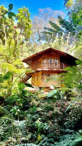 Los Quetzales Ecolodge & Spa في سيرو بونتا: منزل خشبي كبير في وسط حديقة