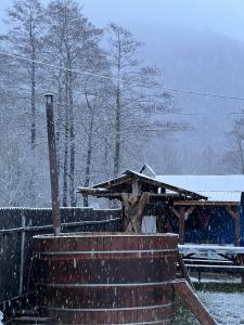 un groupe d'escaliers dans la neige avec un toit dans l'établissement Cabană la poalele munților cu ciubăr, à Jieţ