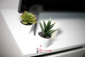 Foto dalla galleria di Tiffany's Studio - Lugano in Style -By EasyLife Swiss a Lugano