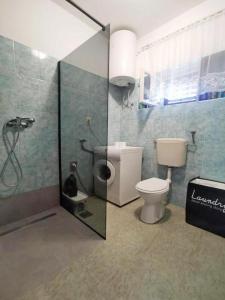 a bathroom with a toilet and a glass shower at Apartment Shady Terrace in Raslina