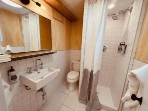 uma casa de banho com um lavatório, um WC e um chuveiro em The Timberline em Leadville