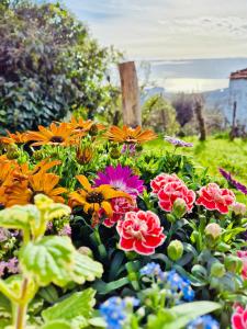 Paesaggio naturale nelle vicinanze dell'appartamento