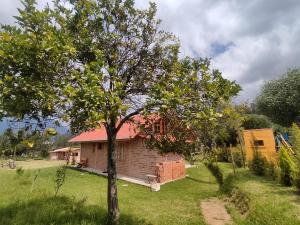 una casa con un naranjo en el patio en Cabañas Tecla María, en Otavalo