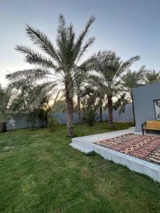 duas palmeiras num quintal com um banco em Liwan chalet - شاليه الليوان em Al Bukayriyah