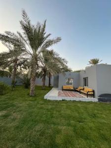 uma casa com dois bancos e palmeiras num quintal em Liwan chalet - شاليه الليوان em Al Bukayriyah