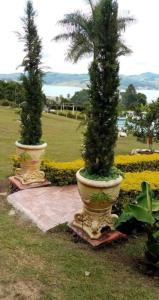 Taman di luar Guadalupe