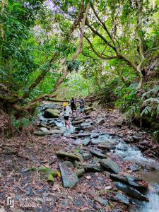 a group of people crossing a stream in a forest at Irakara hotel campestre in La Palma