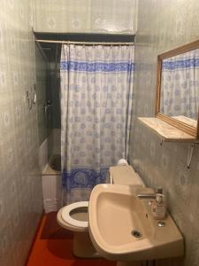 Baño pequeño con aseo y lavamanos en Hostal Papo en Osorno