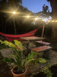 里瓦斯省的住宿－Hostal Casa Bonita Ometepe，餐桌和长凳旁的盆栽植物