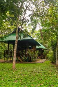 ein Gebäude mit einem grünen Dach in einem Wald in der Unterkunft Passiflora Camp in Puerto Maldonado