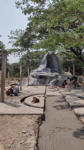 a group of animals laying on the ground in a zoo at Temple Ruins - Ke-In-Gir Ashram in Mae Sot