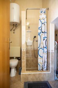 ein Bad mit einem WC und einer Dusche in der Unterkunft Apartments with a parking space Vodice - 22290 in Vodice