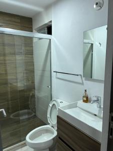 ein Bad mit einem WC, einem Waschbecken und einer Dusche in der Unterkunft Departamento en mazatlan bluue Lagoons in Mazatlán
