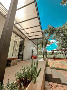un bâtiment avec une grande fenêtre et des cactus dans l'établissement Casa Container Camisão, à Camisão 3 autres photos