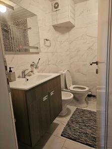 a bathroom with a sink and a toilet at Delfin Apartment in Bitola