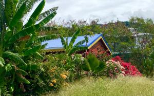 a house with a blue roof and some plants at Bungalows Mathilde-non fumeur in Bouillante +39 photos