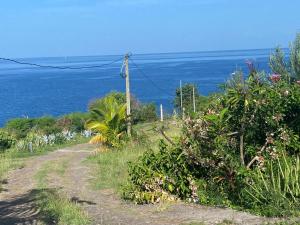 a dirt road with the ocean in the background at Bungalows Mathilde-non fumeur in Bouillante