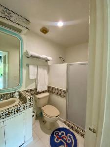 ein Bad mit einem WC, einem Waschbecken und einer Dusche in der Unterkunft Amplio departamento con Jacuzzi privado. in Ixtapa