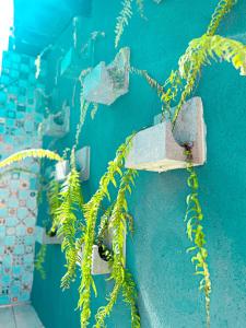 uma parede azul com uma cruz com plantas em Chalé Aconchego dos Milagres em São Miguel dos Milagres