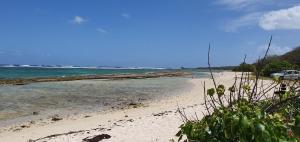 un'auto parcheggiata su una spiaggia con l'oceano di Ti' cocon des îles a Le Moule Altre 4 foto