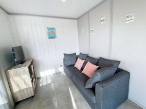 - un salon avec un canapé gris et 2 oreillers roses dans l'établissement Jullouville: Villa 4 pers, proche plage, piscine chauffée - FR-1-361-534, à Jullouville