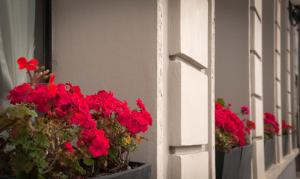 una fila de flores rojas en el alféizar de la ventana en Hotel MAXIM en Trinidad