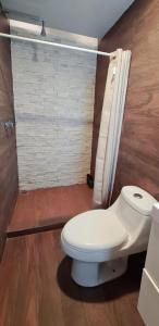 a bathroom with a white toilet and a shower at Cálida casa pet friendly, CDMX in Mexico City