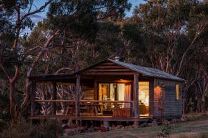 a small cabin in the middle of the woods at Waterloo Station Country Stays in Glen Innes