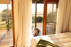 un perro pequeño parado en un balcón con vistas a un dormitorio en Mountain Retreat with ocean views, en Kin Kin