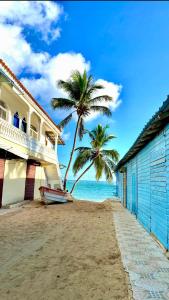 a palm tree and a house on the beach at cozy apartment near the beach los corales punta Cana. in Punta Cana