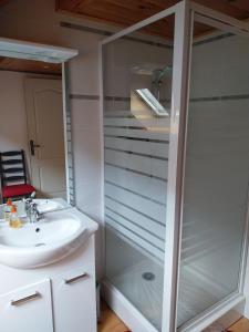 ein Bad mit einer Dusche und einem Waschbecken in der Unterkunft Marmotte 2 in Ornon
