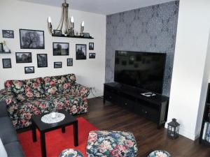 sala de estar con sofá y TV de pantalla plana en Holiday apartment Randersacker, en Randersacker