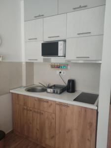 a kitchen with a sink and a microwave at Binis in Zlatibor