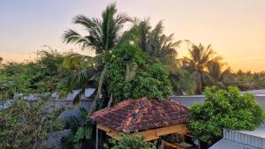 a palm tree sitting on top of a building at Masawi Home in Can Tho