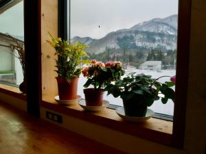 Almennt fjallaútsýni eða fjallaútsýni eins og það er á hostelinu