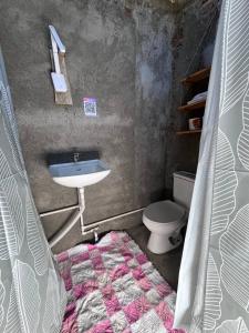 a small bathroom with a sink and a toilet at Hostal Brisas del Ometepe in Rivas
