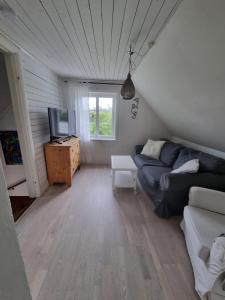 sala de estar con sofá y TV en Hus i Algutsrum, en Färjestaden